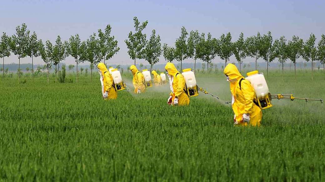 دسته بندی آفت کش ها