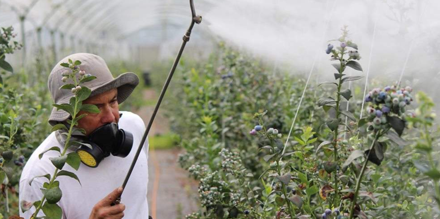 انواع سموم و آفت کش ها