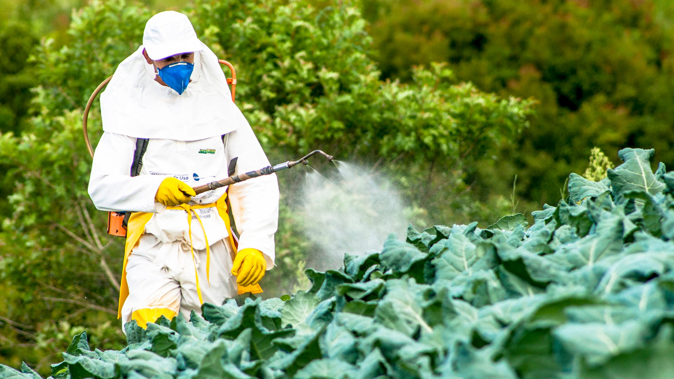 دسته بندی آفت کش ها