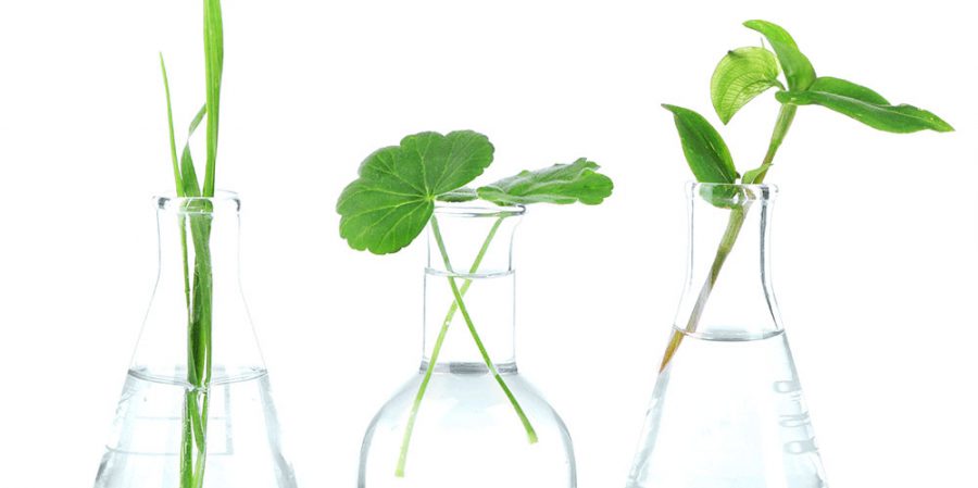 روش های اندازه گیری مقدار آفت کش ها در آزمایشگاه های شیمی