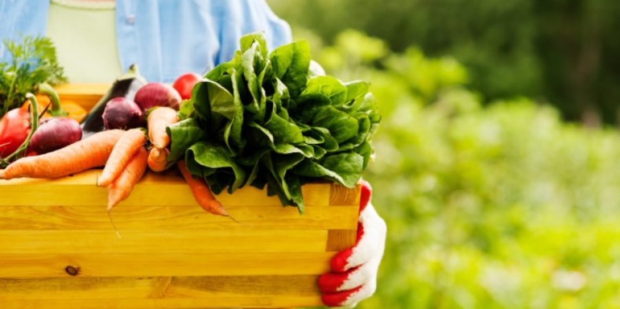 اندازه گیری باقیمانده سموم کشاورزی به روش کچرز, آزمایشگاه غذایی در تهران