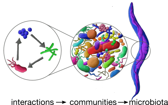 آزمایشگاه تخصصی دکتر پوراکبری,آزمایشگاه میکروبیولوژی,آموزش میکروبی,