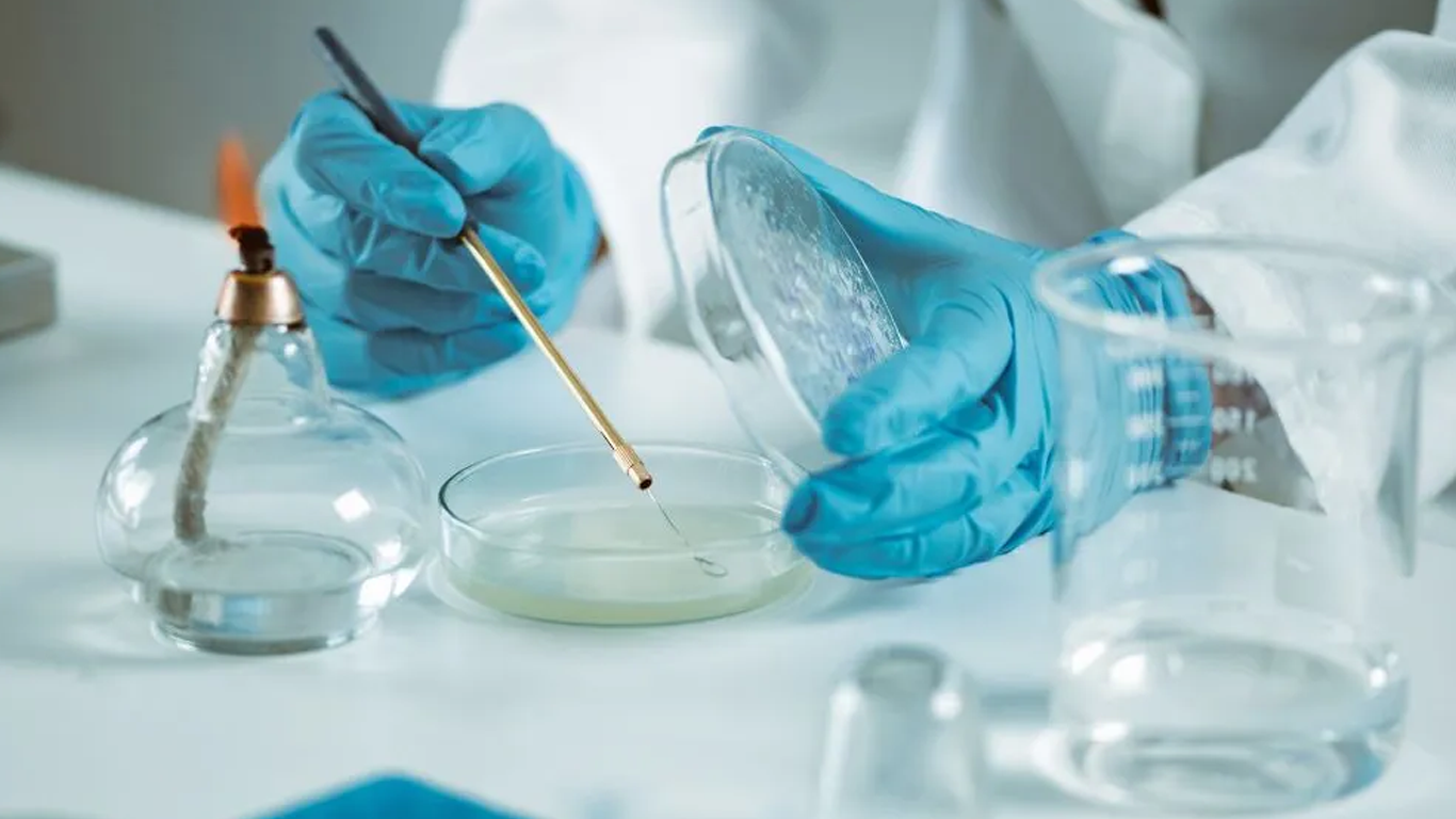 میکروبیولوژی دارویی