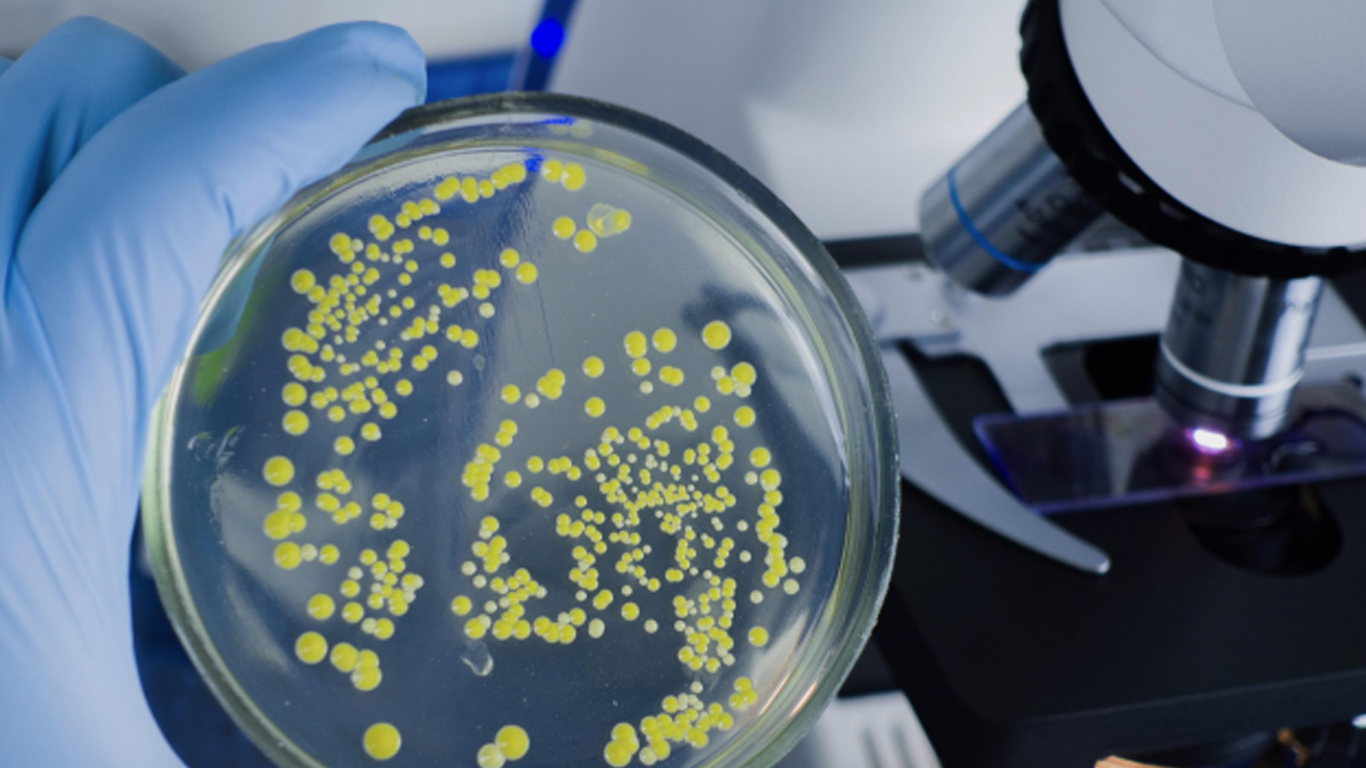 میکروبیولوژی دارویی