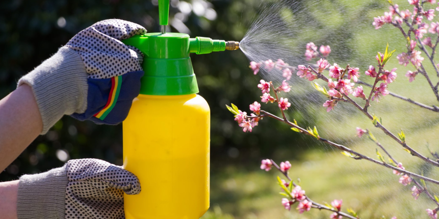 اندازه گیری آفت کش ها