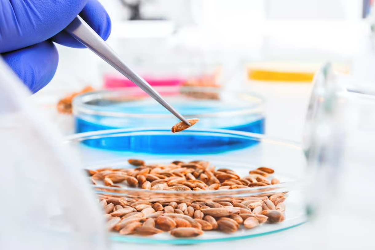 آزمایشگاه همکار غذا و دارو