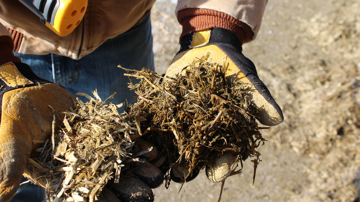 اندازه گیری مایکوتوکسین در مواد غذایی