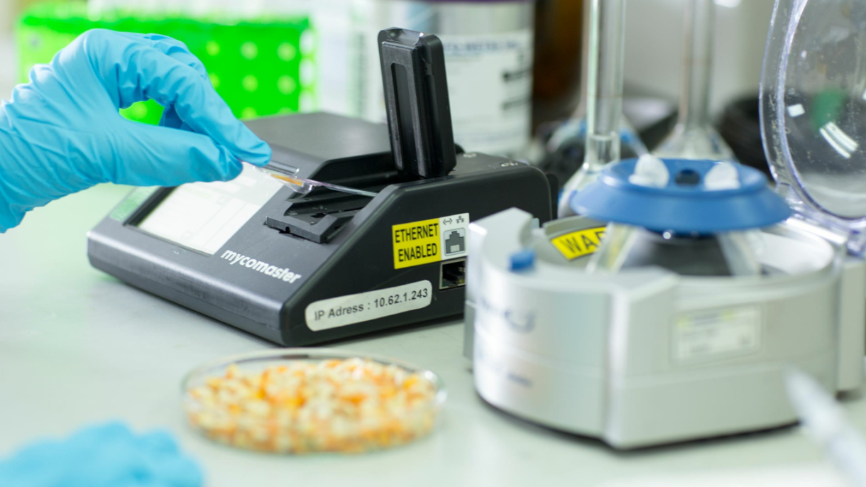 اندازه گیری مایکوتوکسین در مواد غذایی