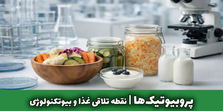 پروبیوتیک مواد غذایی؛ نقطه تلاقی غذا و بیوتکنولوژی