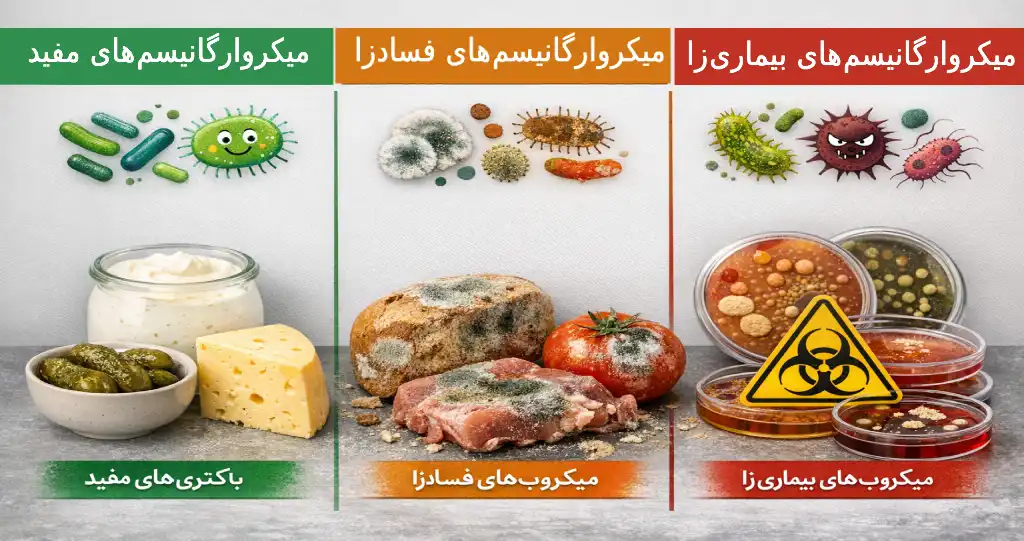 The difference between beneficial spoilage and pathogenic microorganisms 1