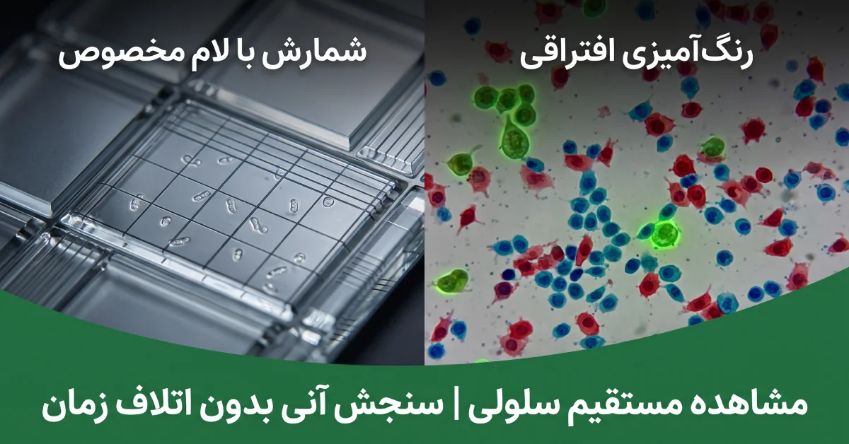 روش-های-مشاهده-مستقیم-میکروارگانیسم