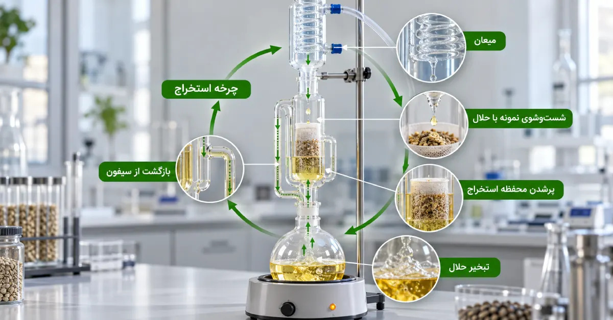 گردش حلال در دستگاه سوکسله با نمایش تبخیر، میعان، شستوشوی نمونه، پرشدن محفظه و بازگشت از سیفون